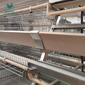 Prix d'usine, cage à poules pondeuses de type H, cage à batterie à 4 niveaux, cage à poules automatisée pour le Kenya, élevage de volailles de 10 000 oiseaux - Product Image 5