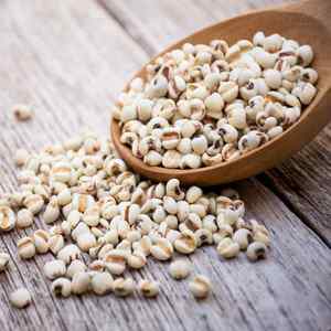 [HOT] Dried COIX <b>SEED</b>-High Grade Vietnam Origin Export Wholesale Best Price - Product Image 3