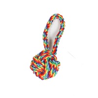 Jouet à mâcher durable en corde de coton arc-en-ciel pour chien avec nœuds, jouet de traction pour le nettoyage des dents des chiots