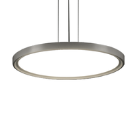 Plafonnier LED rond mural décoratif de haute qualité RoHS Cct 3000k 4000k 5000k 6000k 40w à intensité variable