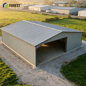 Hangar de Aviación de Acero Galvanizado Resistente a la Corrosión, Centro de Almacenamiento Prefabricado de Gran Capacidad, Instalación de Depósito para Aeronaves - Product Image 1