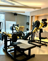 Máquina de Pecho de Doble Acción de Acero Bumblebee 2026 de Última Tendencia para Fitness Profesional