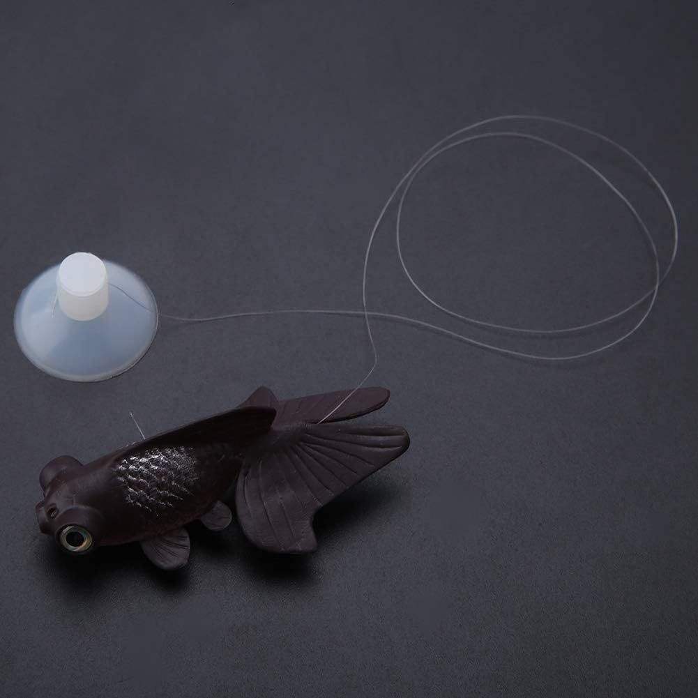 ปลาทอง - สีดำ