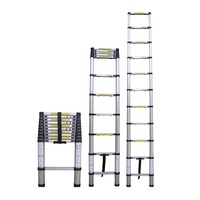 Échelles télescopiques extensibles en aluminium à un seul côté, antidérapantes, faciles à rétracter, portables, 2 m, 2,6 m, 4,1 m, 4,4 m, pour la maison