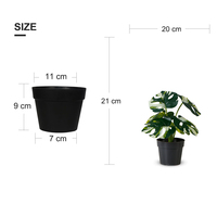 Tanaman Bonsai Monstera Tinggi 21CM Dekorasi Dalam Ruangan Tanaman Buatan Daun Putih dan Hijau