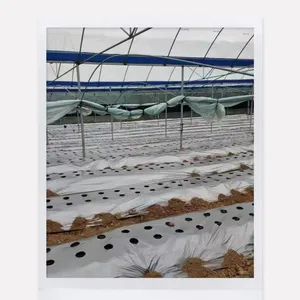 农用银黑穿孔反光水分驱虫除草果树蔬菜温室专用覆盖物