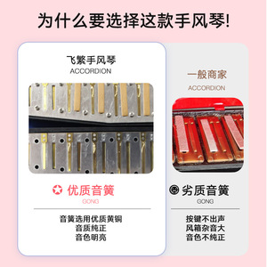 Acordeón Infantil Feifan de 17 Teclas, 8 Bajos, Piano Portátil, Instrumento Musical Educativo para Principiantes - Product Image 5