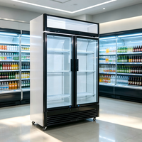 Réfrigérateur à boissons éclairé avec compresseur silencieux pour présentoir de comptoir de station-service