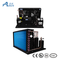 Unité de condensation haute performance 3HP refroidie par air avec moteur pour entrepôt frigorifique de fruits et chambre froide