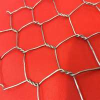 Échantillon Gratuit - Matelas en Gabion Galvanisé de Qualité Supérieure, Panier en Gabion à Mailles Hexagonales