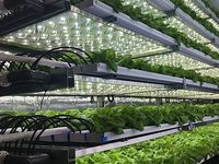 Вертикальный сельскохозяйственный контейнер, гидропонный транспортный контейнер, гидропонная система