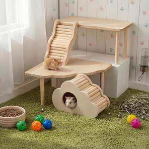 Terrario in Legno a Vista Completa con Tetto Rimovibile - Adatto per Criceti e Topi - Product Image 4