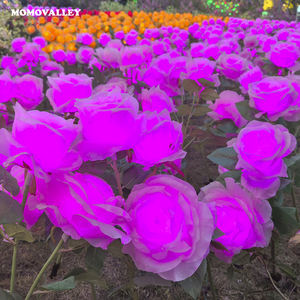 Luce LED fiore rosa Stand per decorazioni natalizie e feste all'aperto fiori luminosi per giardino & decorazione commerciale - Product Image 4