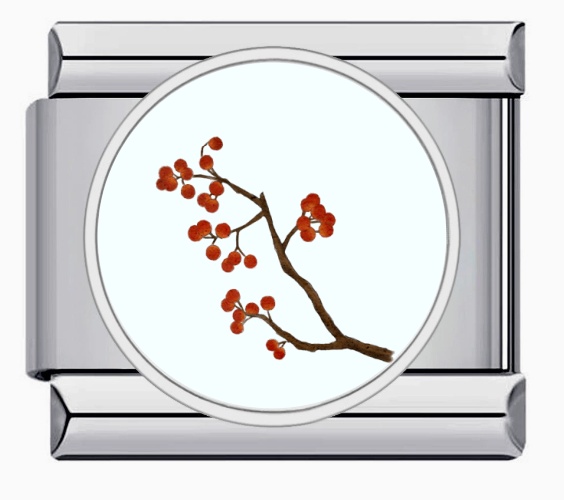 IC-i-3 Argent
