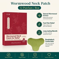 Patchs de Soulagement de la Douleur au Cou, aux Genoux et à la Taille à base d'Armoise, 12 pièces/boîte, Plâtre Herbal à l'Armoise pour le Bien-être Cervical, Logo Personnalisé