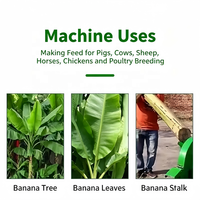 Nouvelle machine à broyer les plantains et bananiers, haute productivité, électrique, en fonte