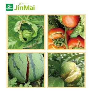 Fertilizante NPK con Calcio Quelatado, Promueve el Crecimiento de Raíces, 17-17-17 Ca B Zn, Fertilizante Compuesto Agrícola Soluble en Agua - Product Image 4