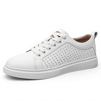 Chaussures pour hommes, chaussures de marche, chaussures de style décontracté pour hommes