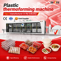 Mesin Pembuat Wadah Buah Plastik Sekali Pakai Otomatis, Peralatan Thermoforming untuk Produksi Kotak Clamshell Stroberi dan Blueberry