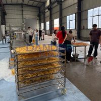 Populaire Franse frietproductielijn, continue friteuse voor aardappelchips, aardappel-friteuse machine