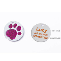 Gepersonaliseerde Kraag Pet Id Tag Gegraveerd Pet Id Naam Voor Kat Puppy Dog Tag Hanger Sleutelhanger Pet Accessoires
