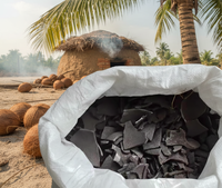 Charbon de coco Arang Batok Kelapa / Charbon de coque de noix de coco offre une chaleur durable, écologique et de qualité supérieure pour griller le shisha et le nettoyer.