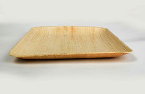 Assiettes Modernes Robustes Réutilisables et Écologiques Shreeimpex SI209 en Areca de 9 Pouces pour Anniversaires, Mariages, Fêtes et Voyages (Vente en Gros) - Product Image 2