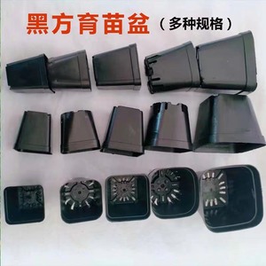 Black <b>Square</b> Seedling Pots 5.5 Cm With Drainage Holes For Nursery Planting - Product Image 2