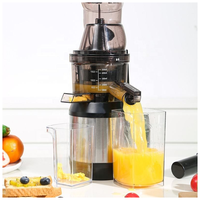 Custom 250W Roestvrij Staal Elektrische Hele Fruit Groente Koude Pers Slow Extractor Juicer Commerciële Sinaasappelpers Machine