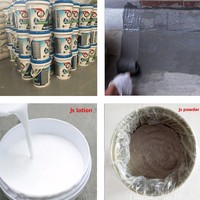 Revêtement imperméable JS, polymère ciment liquide, anti-humidité pour toilettes, piscine, mur, toiture, flexible, garantie 1 an, en ligne