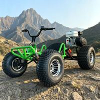 Precio de Fábrica, Go Kart Todoterreno de 212 CC y 4 Tiempos con Llantas de Aleación de Aluminio de 10 Pulgadas, a Gasolina, para Adultos y Niños, 1000 W