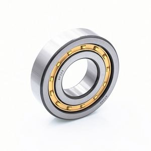 Rodamientos de Rodillos Cilíndricos de Acero Cromado de Una Hilera 42205KM 42207 42217 42307 NJ205 NJ207 NJ217 NJ307 - Product Image 4