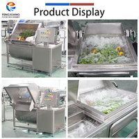FENGXIANG Kersenreiniger en -ontpitter combinatie set met automatische kantel- en afvoersysteem, belletjeswasser & kersenontpittermachine 200kg/u voor fruitleveranciers