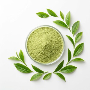 Approvisionnement d'usine EGCG 98% en poudre CAS 989-51-5 Épigallocatéchine gallate Extrait de thé vert Haute pureté Qualité alimentaire - Product Image 1