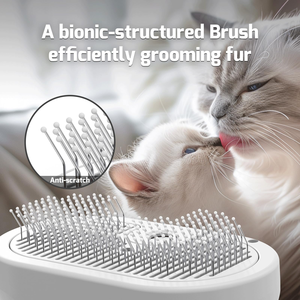 <b>Dog</b> & Cat <b>Grooming</b> Steam Brush Spray Rechargeable Portable Plastic Self-Cleaning <b>Tool</b> - Product Image 3