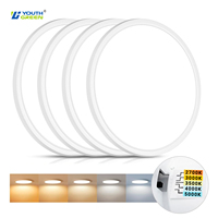 Plafonniers LED modernes de haute qualité 18W, 9 pouces, pour chambre à coucher, montage en surface, 5CCT, OEM, plastique, IP44