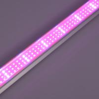 Lampe de croissance Led intégré T12, avec éclairage horticole