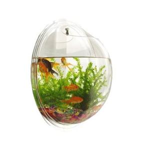 Rond Helder Acryl <span class=keywords><strong>Aquarium</strong></span> <span class=keywords><strong>Aquarium</strong></span> <span class=keywords><strong>Aquarium</strong></span> Mini Acryl <span class=keywords><strong>Aquarium</strong></span> <span class=keywords><strong>Aquarium</strong></span> <span class=keywords><strong>Aquarium</strong></span> - Product Image 1