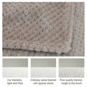 Yourlia vente en gros Stock grille maille motif doux manta ananas flanelle Frazada 100% polyester couverture polaire - Product Image 3