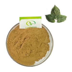 Poudre d'extrait d'Épimédium de haute qualité, vente chaude GMP - Product Image 2