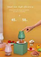 Kitchen Appliances 45W 100ML 250ML Rechargeable Portable Electric Food Chopper Mini Garlic Food Chopper