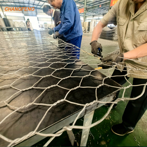 Bán Buôn Nhiệm Vụ Nặng Nề Lục Giác Dây nettings Rọ Đá Lồng Rockfall Bảo Vệ Giữ Lại Tường Thoát Nước Dốc Đập Vườn - Product Image 5