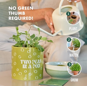 <span class=keywords><strong>Kit</strong></span> de plantation Garden Republic Two Peas in a Pod, <span class=keywords><strong>kit</strong></span> complet de jardinage d'intérieur pour la maison et le bureau - Product Image 5