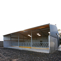 Structure en acier préfabriquée traditionnelle directement de l'usine pour élevage de moutons, de chèvres, de vaches laitières, de bovins