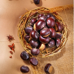 Las Mejores Castañas Chinas Dandong Orgánicas Crudas Frescas de Grado A - Product Image 1
