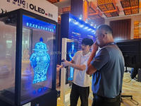Vitrina Interactiva con Pantalla Táctil OLED Transparente de 30/55 Pulgadas para Objetos Culturales y Museos de Arte