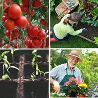 DDA329 -2 Plateaux de semis durables à 21/32/50/72/105/128 alvéoles pour la germination de fleurs, légumes et plantes, pour pépinière de jardin