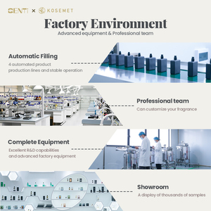 인기 디자인 고객 선호 자동차 방향제 차량용 스프레이 걸이형 디퓨저 - Product Image 6