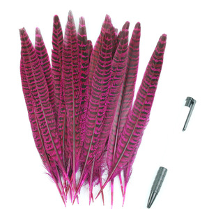 Rộng Đầy Màu Sắc Nhuộm Nữ Gà Hoang Dã Gà lôi Đuôi Lông Biểu Diễn Sân Khấu Ăn Mặc Thủ Công Phụ Kiện Tóc Seashell Thương Hiệu - Product Image 2