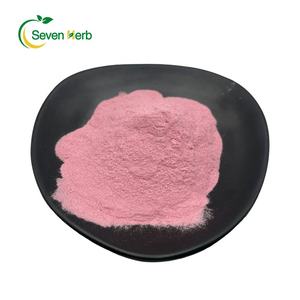 Factory Supply <strong>Cherry</strong> Extract Organic <strong>Acerola</strong> <strong>Cherry</strong> Extract Vitamin C Powder 17% 25% for Supplements - Product Image 2